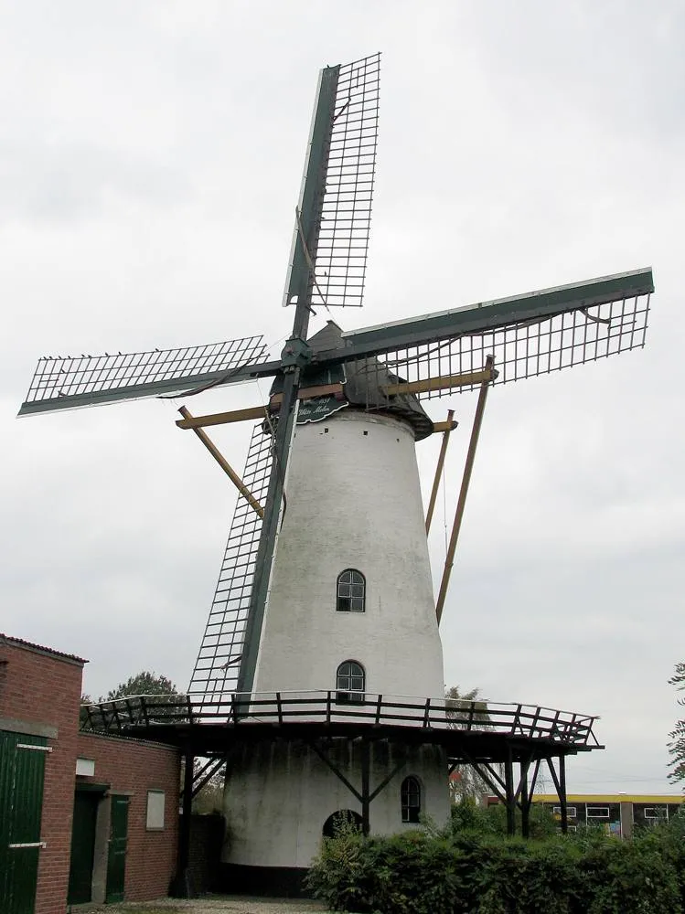 Rilland: Witte molen in Rilland
